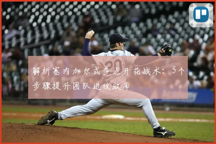 解析塞内加尔式多点开花战术：5个步骤提升团队进攻效率